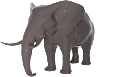 elephant_1