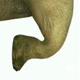 movie figure 4