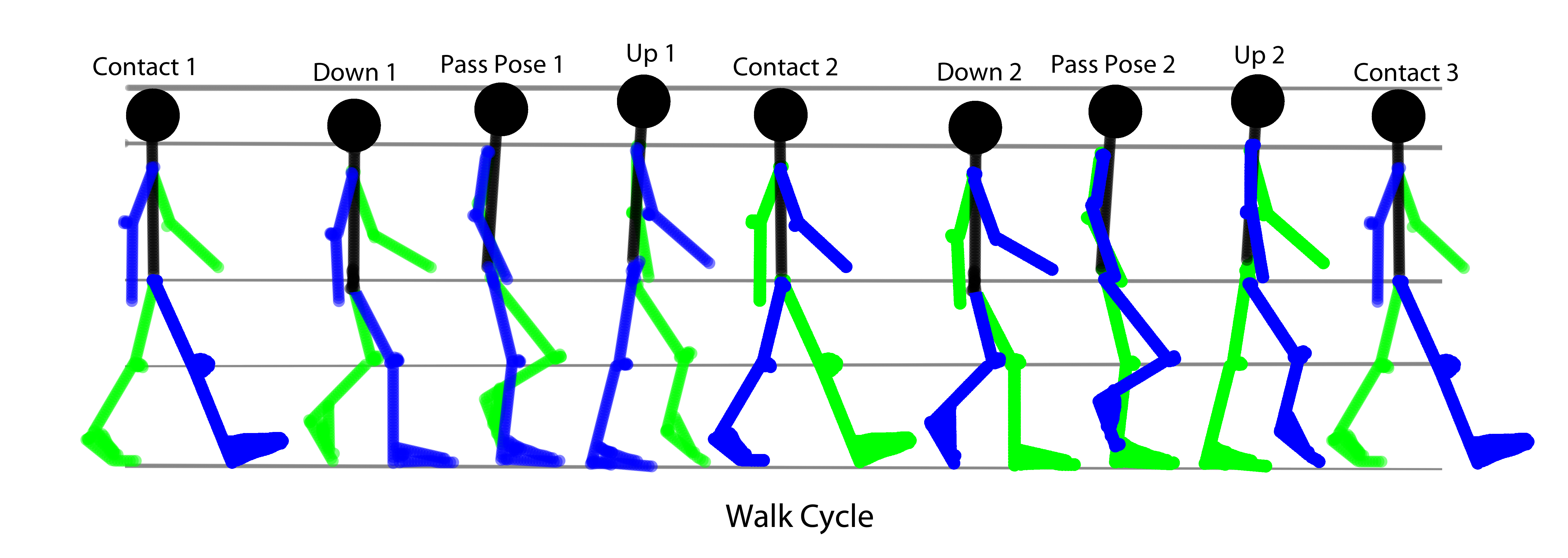 pictures/walkcycle.jpg