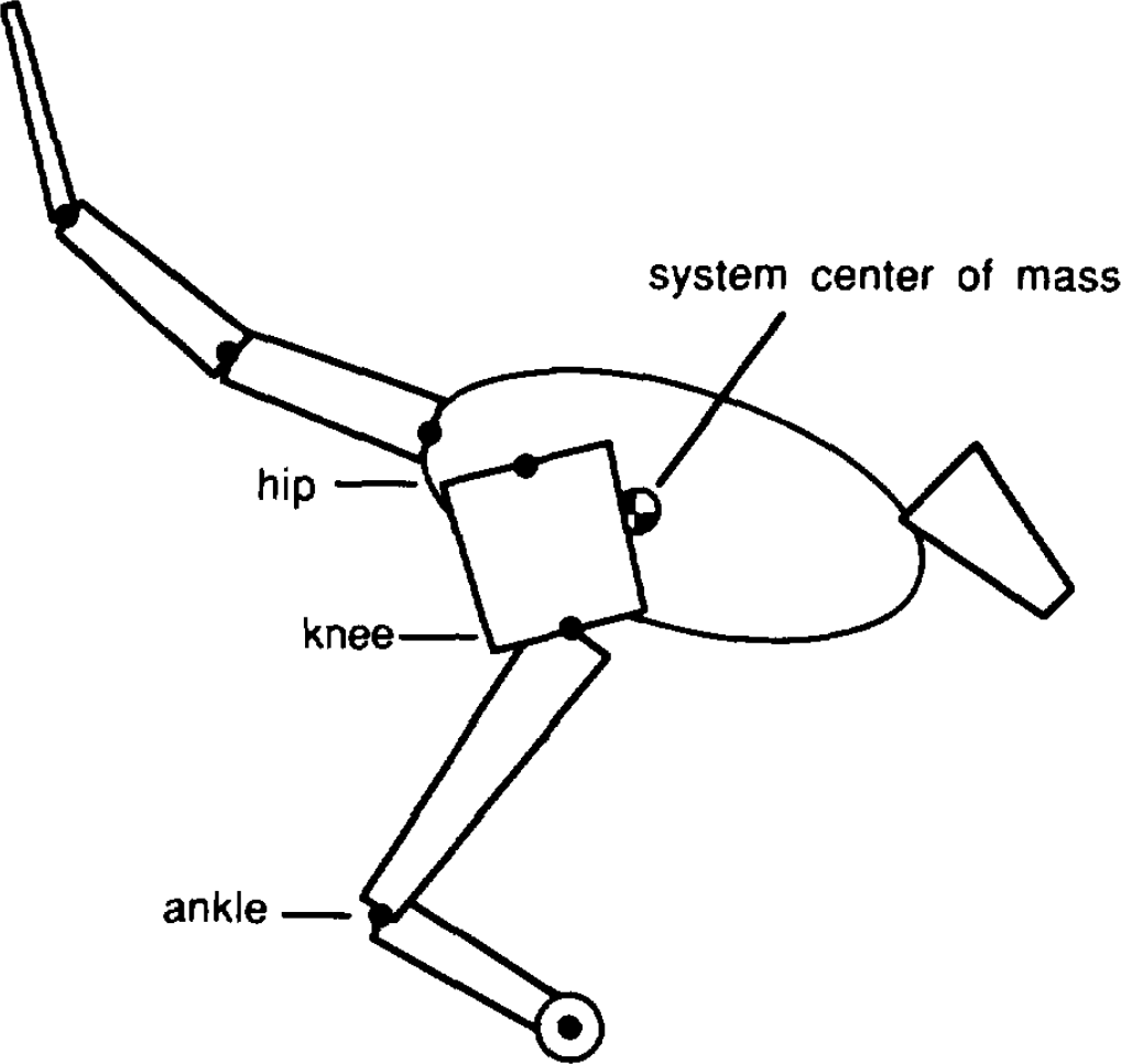pictures/kangaroo.png
