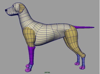 limit topology