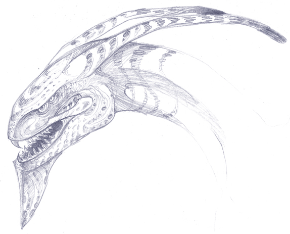 pictures/drawing_01.png