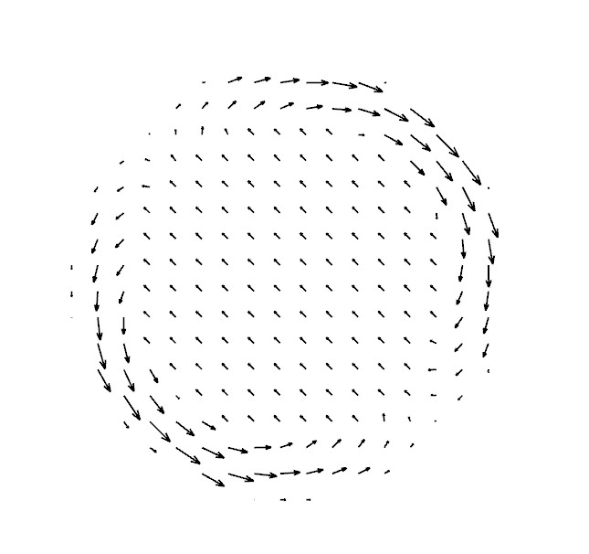 assets/vector_field.jpg