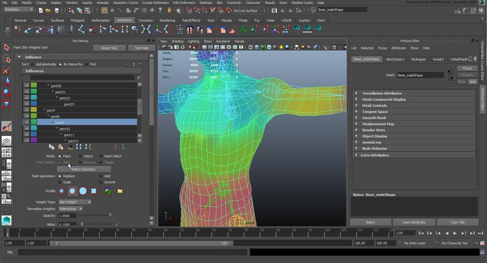 assets/skinning_weights.jpg