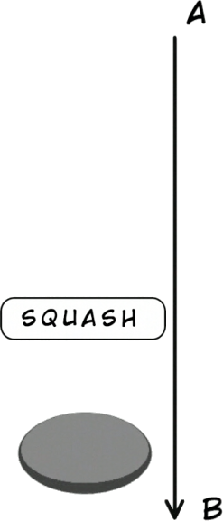 data/pictures/squash.png