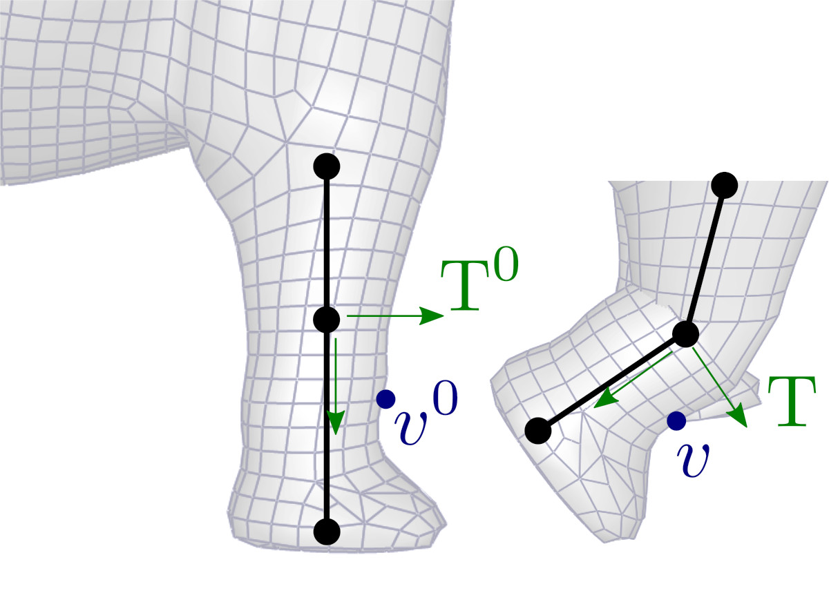 assets/elephant_leg.jpg