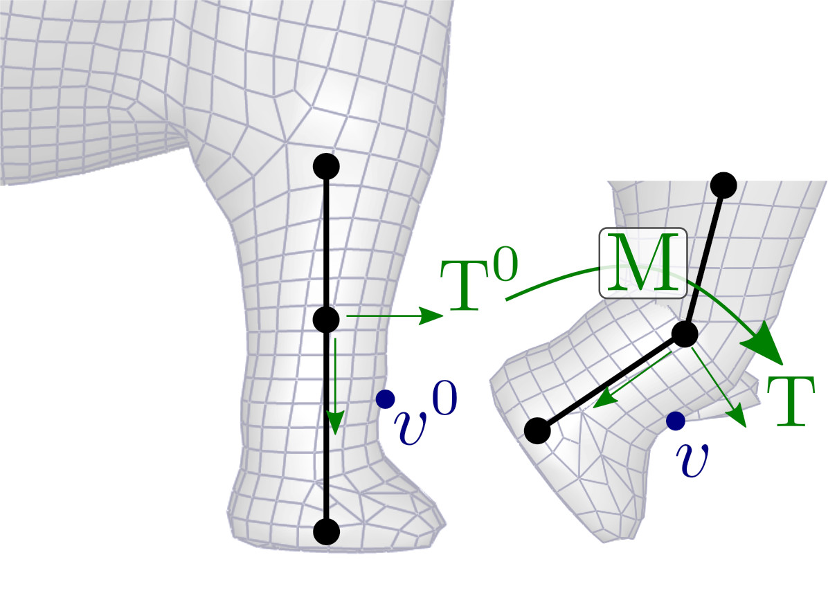 assets/elephant_leg_withM.jpg