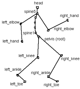 pictures/root.jpg