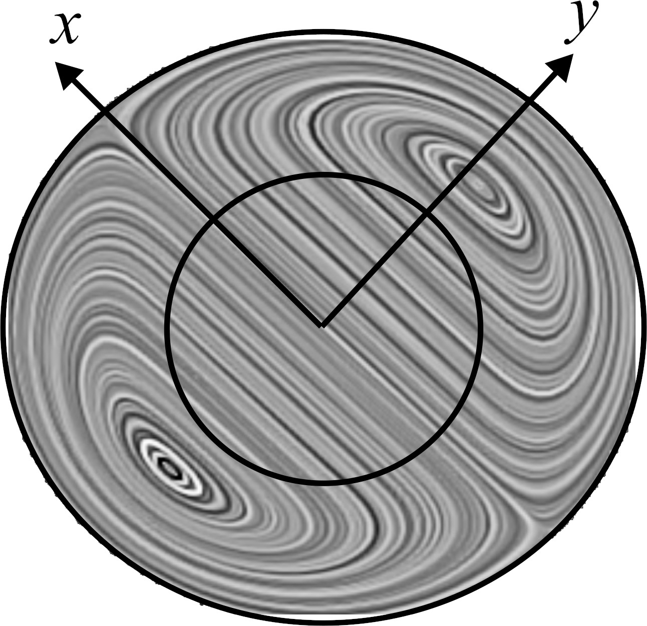 assets/field.jpg