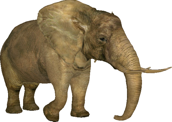 assets/elephant_01.png