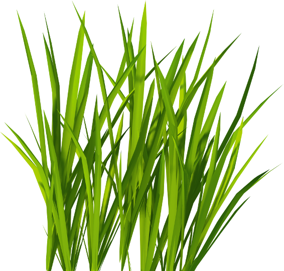 assets/billboard_grass.png