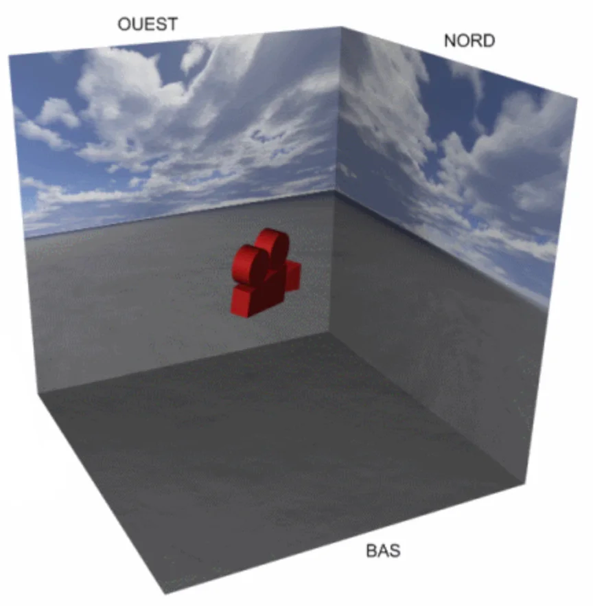 Skybox : boîte texturée simulant un environnement infini.